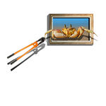 3D壁纸墙画 裸眼3D 地贴