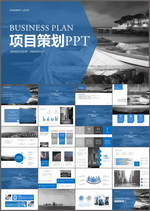 项目策划PPT