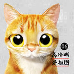 猫写实绘画