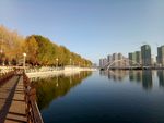 天马湖风景