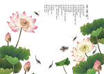 歌赋咏莲