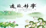 宁静致远荷花图