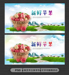 苹果