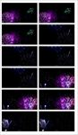 粒子星光旋转万花筒vj视频婚礼