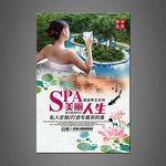 SPA海报