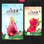 火龙果海报