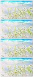 节日喜庆牡丹花开LED视频背景