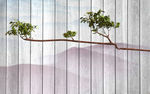 立体钻石皮雕系列树枝背景墙壁画