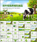 奶牛牧场养殖乳制品ppt