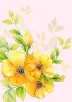 水彩花卉