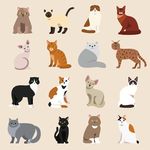 猫咪品种宠物猫咪矢量素材