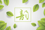 绿叶