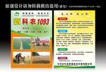 小麦种子宣传单