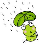 小青蛙素材