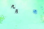 小清新背景