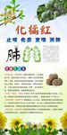化橘红功效