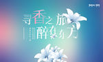 活动画面