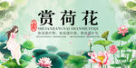 赏荷花海报