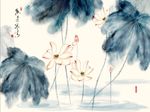 荷花