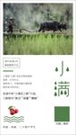 2019小满节气海报设计