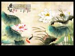 国画荷花