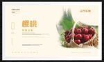 樱桃
