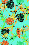 植物花卉