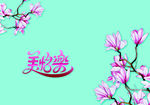 月饼包装