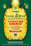 菠萝