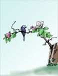 花鸟