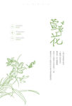 萱草花