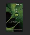 白露节气微信稿