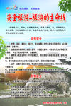 安全旅游