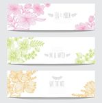线描花卉