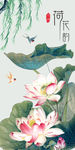国画荷花图