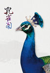 孔雀
