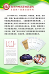 绿色展版 学校海报 大学 学院