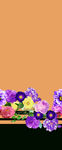 定位花