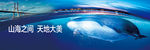 鲸鱼 海景 大桥