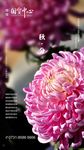 秋分 秋分海报