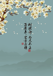 木棉花
