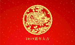 2019年猪年