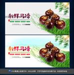 马蹄