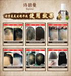 诗碧曼海报