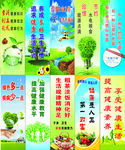 环境卫生 环境卫生标语