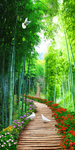 竹林写实风景玄关屏风背景底纹素