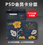 高档VIP卡