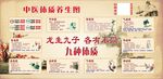中医体质养生图