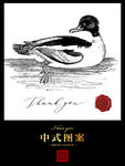 鸭子