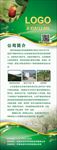 焦枣公司简介展架